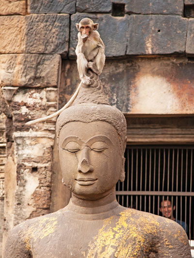 singe sur une statue de Lopburi