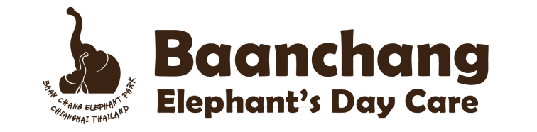 Baan Chang Elephant Day Care - Thaïlande