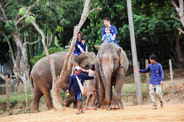 Les éléphants et le tourisme en Thaïlande