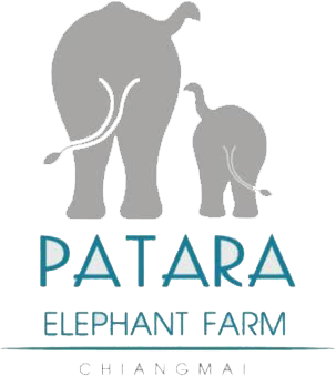 Patara elephant farm - Thaïlande