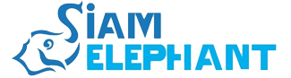 Siam Elephant - Thaïlande