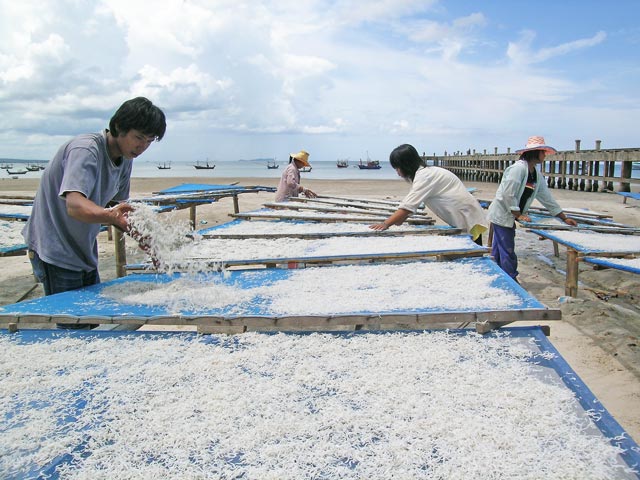 préparation du poisson Golfe de Thailande